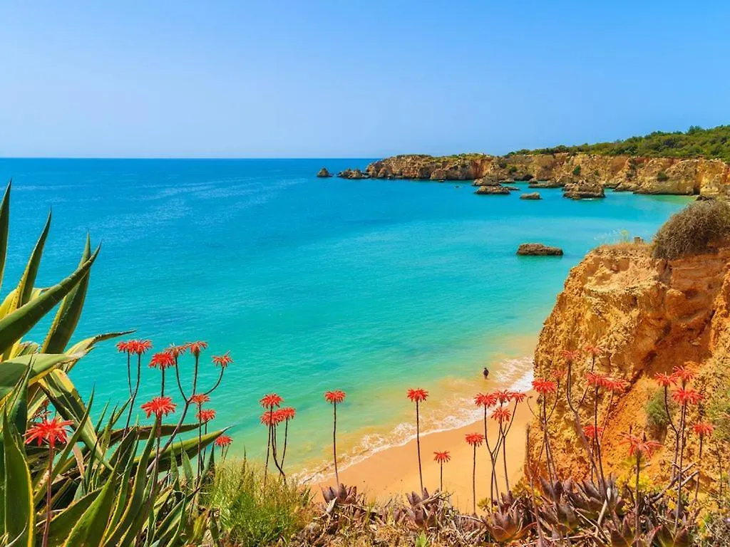 Villa Unica 10 Carvoeiro (Lagoa)